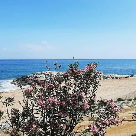 Llavaneras Beach Front 아파트 *